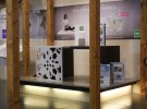 GR_COSENTINO 2010_3